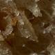 Illustration for article titled 36 Tantalizing Photos Of Textures